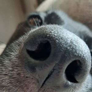 Meet your Posher, Aimee